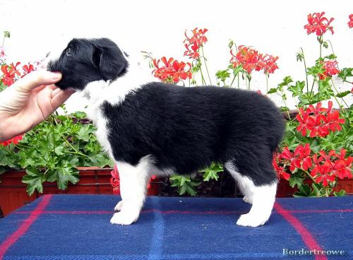 7103145 bff77c075f65115312b6d4431118f1df xl