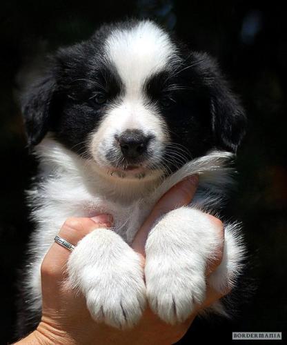 7103149 cf2c57624e5343f3bc15092269d6af6d l