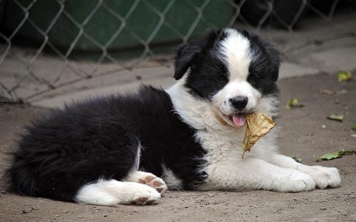 21459519 da87f8acb6e6ae1f9e411431964471d9 xl