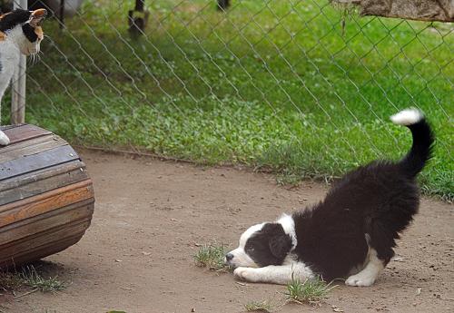 21459531 cd83d3672611081e029ce6427b79333d xl