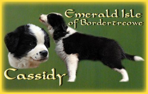 21459551 8414e2ff272d87b4c37bcfc00b9aa364 xl