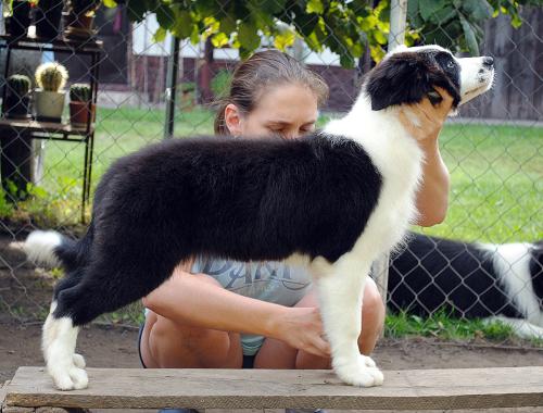 21750183 afcb00f843706e6e8dbfbc3374944d9a xl