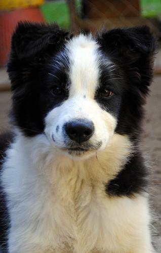 21793157 e4a1f731fb0096ab9ac51e87c4838df4 xl