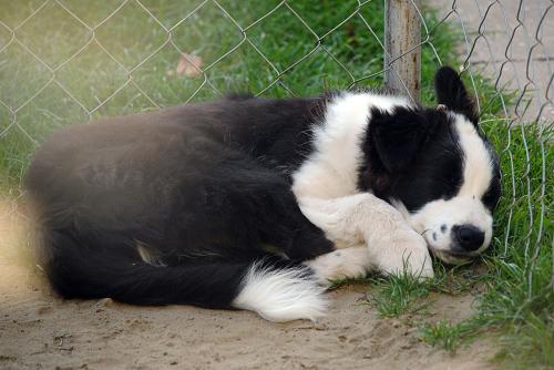 21895077 a96efba7607ca2198627e9421569fde3 xl