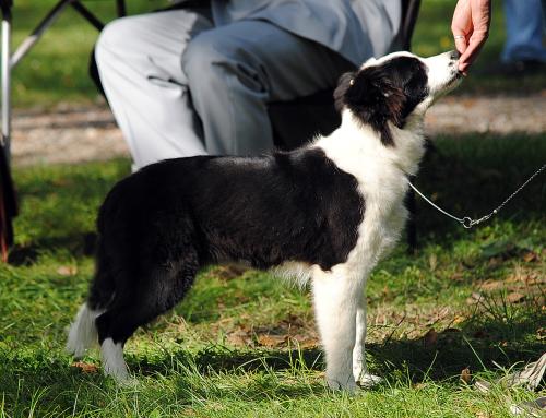 21895079 b17075725b1d726f604103a361d3675a xl