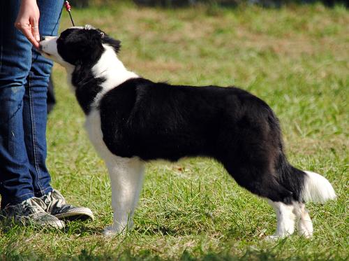 21895081 89c22a04b9ea2e400d5f738f869fd95c xl