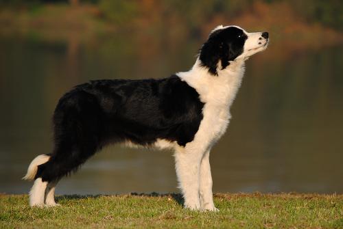 22139469 d974d7e718ebdedd27346f41d28f4955 xl