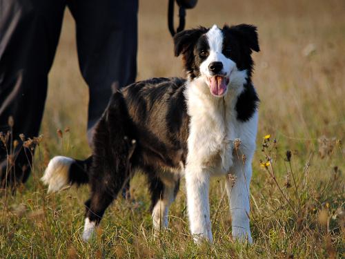 22139471 5fba9c3a0bcc709cdea60c7b510cba50 xl