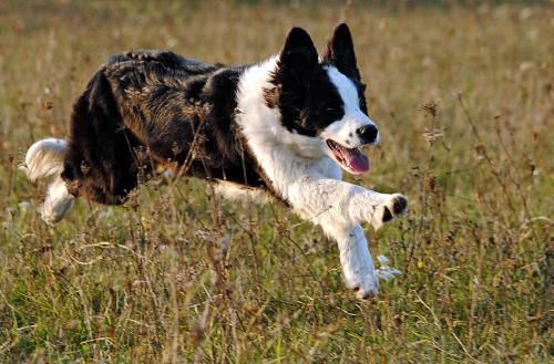 22139473 4d393f081eacaca235235a69db65d8e6 xl