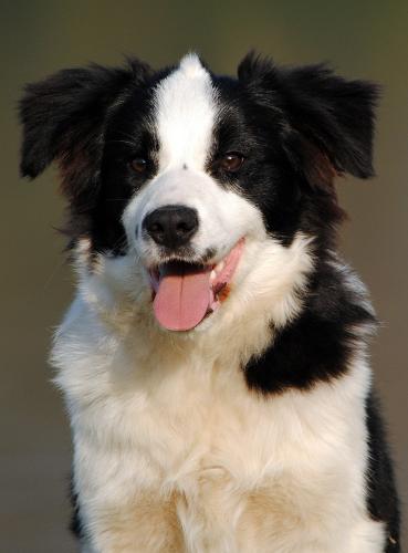 22139477 ebb17cf11ab2fd116cfded10da8463d0 xl