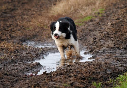 22197423 2b63362cff9275d659c05e393328a598 xl