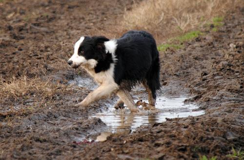 22197427 a29e24acf89606aedaaf2bac38aa5b85 xl