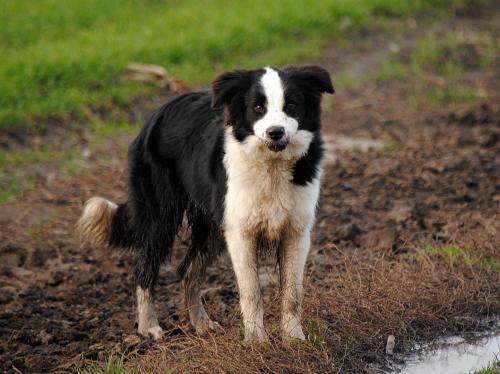 22197433 f9b8020f9ab72f47c08c33c8d5338633 xl