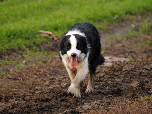 22197437 a0722a7ae927c3d8b37f63bdd916c378 xl