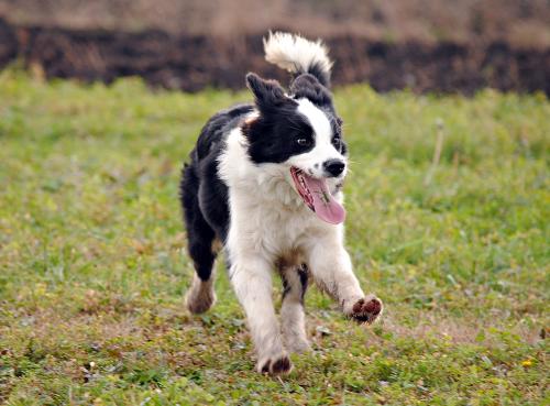 22197439 ff5b1be37667497ac98540da6c082231 xl