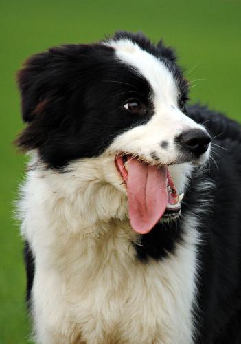 22197441 ed846fbe789228e483becc663906de9c xl