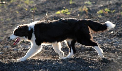 22197443 abf8247d37dc53ecc23af05e3cad9be8 xl