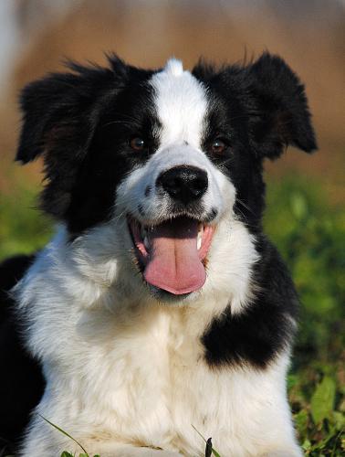 22197451 67ca745804faf95ef75dcae71850c684 xl