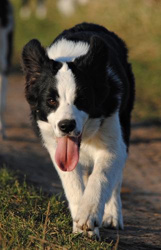 22197455 7b8bab131914acc1b65a4adee15d9aa1 xl