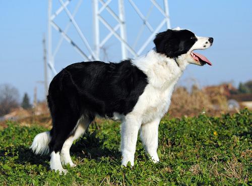 22197457 f064620aeadce63ffd4cafc80f7b09db xl