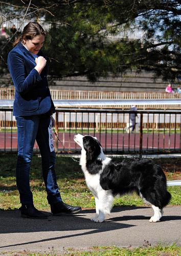 22572459 fcd16d60c43aba41de2197f1eb7c4a4e xl