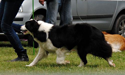 22749227 58bc22f26183cfe3006b90cd9ad14f57 xl