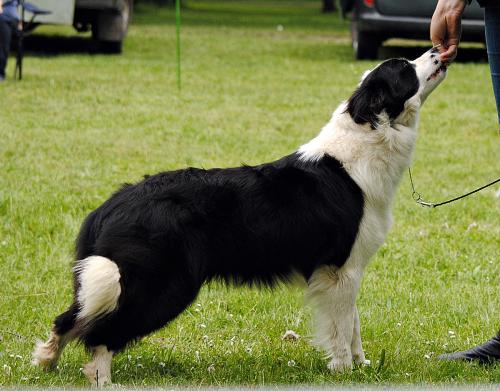 22749229 096aec956649279fb13f57e5da9276d3 xl