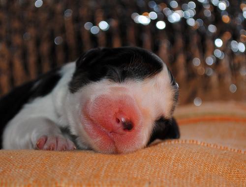 21137513 9b54933ca815a4566f1f33946714b2cb xl