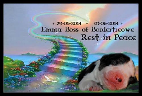 21162373 acc219ca28af2fe13b8648bab0799a39 l