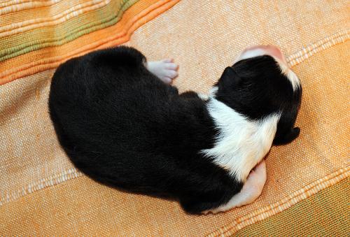 21137507 9c56321ecaee97570a4888dc53e4c872 xl