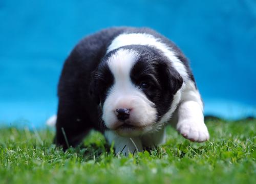 21240633 f7b9d8e2ed3139815fba5f71c22383f0 xl