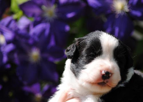 21240635 8be35dc26cafbee405896531397e04b4 xl