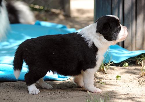 21278647 3622c3dc5a8c6f0df518ba1796009707 xl