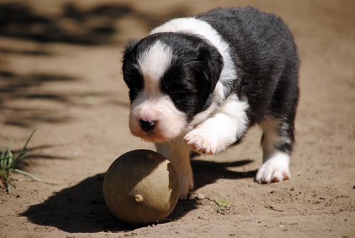 21278653 557c7b6903a2adf05f7c3d0929598af7 xl