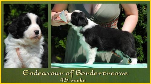 21318337 6f3e787476dbe7f424b5dc61115f4203 xl