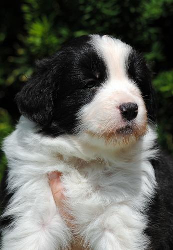 21318351 912044d0fb61ae46279d5a2e09a9a6fb xl