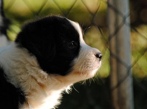 21353779 bc59b13e7a69b295861b19b1a9179179 xl