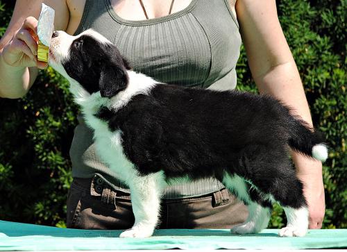 21357433 f9cae49850a9c5ddcd6b035c58f210bb xl