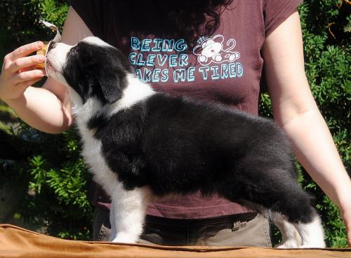 21395015 83aacbb4d055154ac4ce0a9be7fe89e9 xl