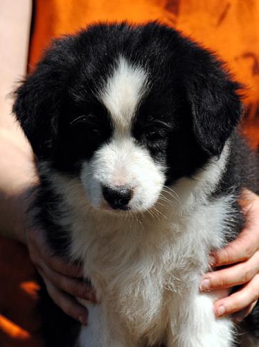 21428245 3e8c67d09811a8fce5287778ff256bec xl