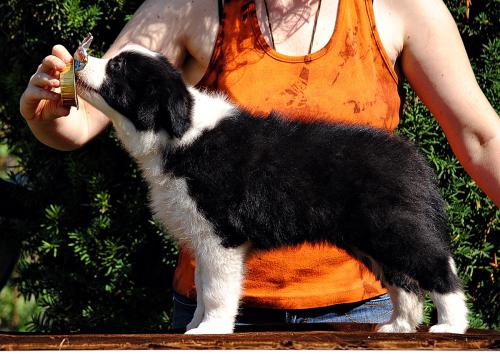 21428247 2a9b3fbe3f834b1a2f677e03719ec355 xl