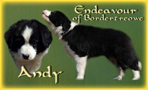 21459687 48ba7f7b2e6c41146c98b9a768c7edd1 xl