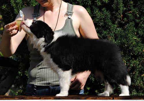 21459689 a62a1e956e5652caead374c19d605a63 xl