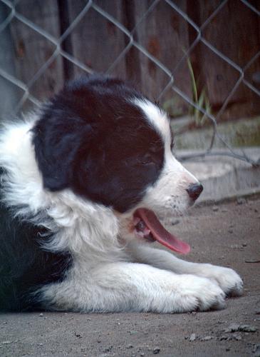 21459691 7d96fe79edc6d855bace77baaede2e35 xl