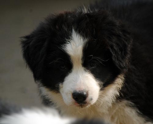 21459695 940ef413be05420d11d480e46c9651f3 xl