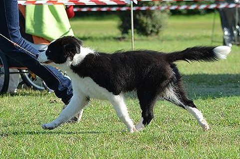 22139791 e8fdb883049dcc83b717967d6f3847bd m