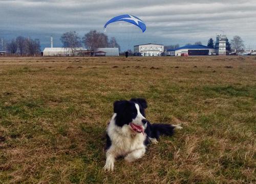 22238297 e582599408615de74496a82a6a6159e3 l