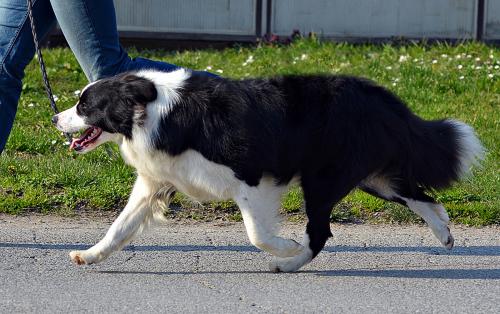 22518045 517824e6adf651cd8ac5a0375f77370a xl