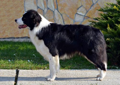 22518047 273febebe59aab58e2f21bbebf93ae0d xl