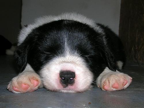 12384877 59fc28d10ba9e4d37517cde9c888b8c5 xl